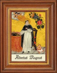 Albertus Magnus 