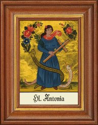 Antonia 