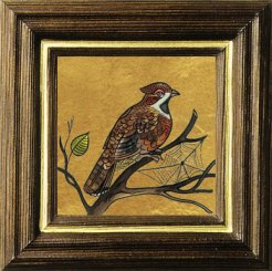 Haselhuhn 