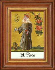 Rosa 