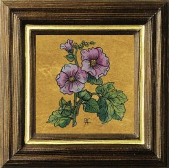 Stockrose 
