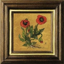 Mohnblume 