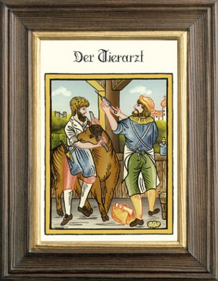 Tierarzt 